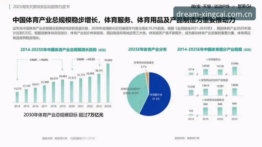 杏彩体育官网 杏彩体育平台深度解析:从版本迭代看行业趋势